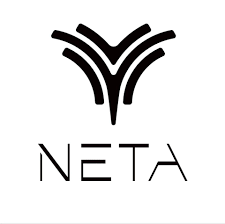 Neta Auto